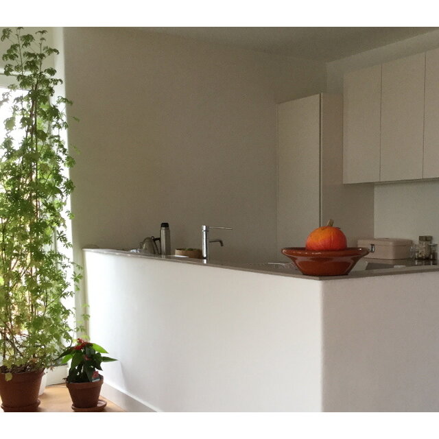 Tierrafino Dry Paint – Biobased leemverf in poedervorm, eenvoudig aan te maken met water. Verkrijgbaar in 2, 6 en 12 kg. Damp-open, vochtregulerend en antistatisch.