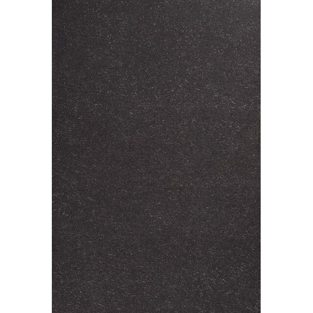 Agepan DWD Black 16 mm | Zwarte Houtvezelplaat voor Open Gevelbekleding