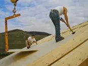 Elka Vita 3S 3-laags massief houten constructieplaat