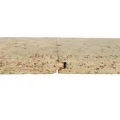 Elka ESB Plus | P5 Constructieve Houtvezelplaat (OSB-alternatief)