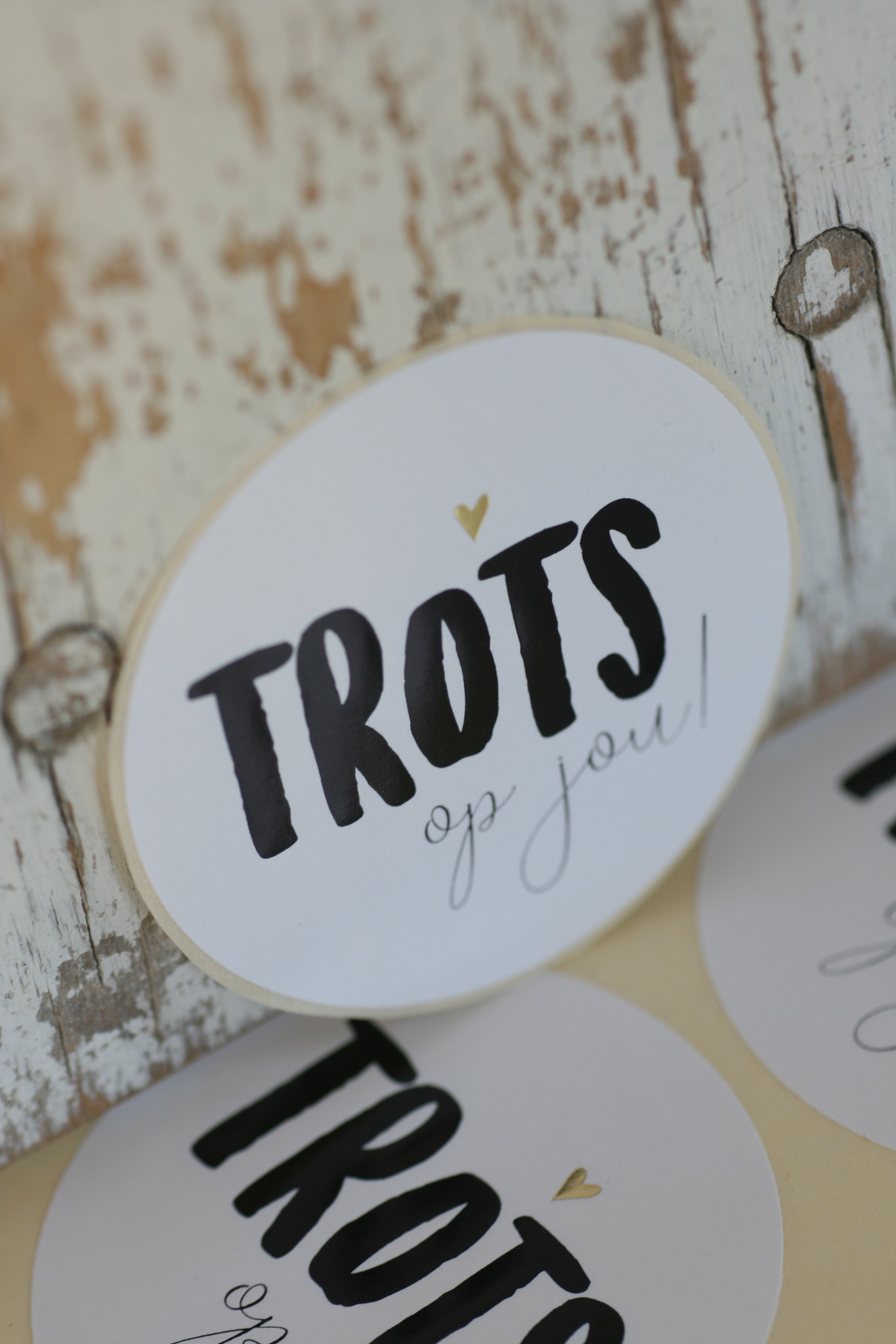 Ronde sticker 'Trots op jouw' wit/zwart, 10st