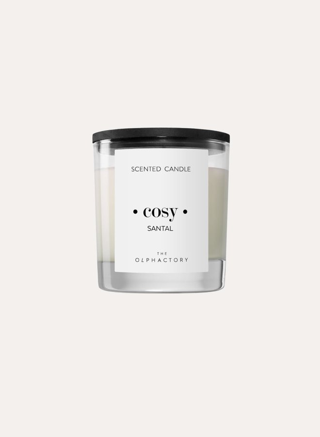 Fragrance Candle Cosy