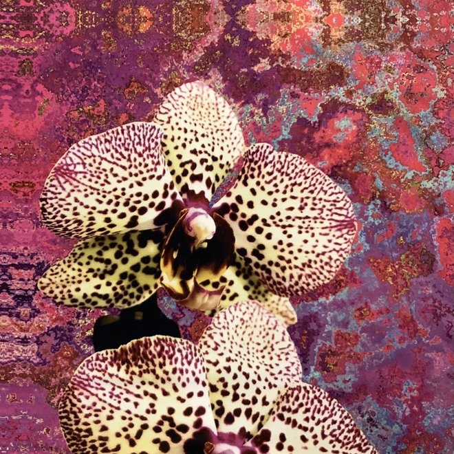 Paneel, orchideeën