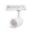 PURPL Faretto LED trifase per illuminaizone su binario Dual White 15W Bianco