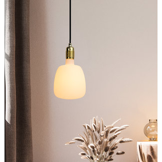 Vintage Ledlight Lampada LED VINTAGE | Porcellana | Leon | E27 | 8W | 2200K