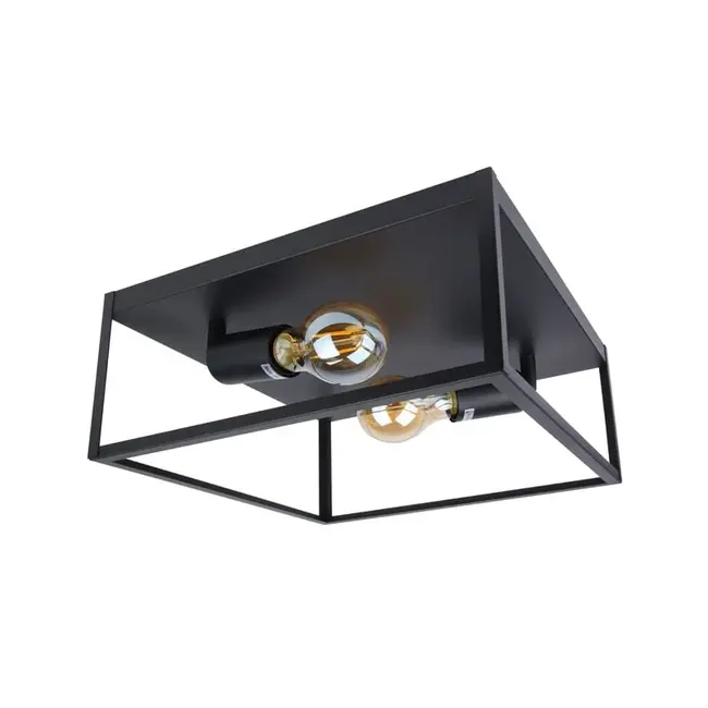 PURPL Plafoniera Nera | Inclusa lampadina E27 - 8w - 2400K | Dimmerabile | 2x punti luce | Design industriale