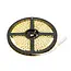 PURPL Striscia LED 24V 5m 120 LEDs p/m 3000K IP20 Bianco Caldo Striscia Singola
