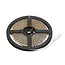 PURPL Striscia LED 24V 5m 120 LEDs p/m 3000K IP20 Bianco Caldo Striscia Singola