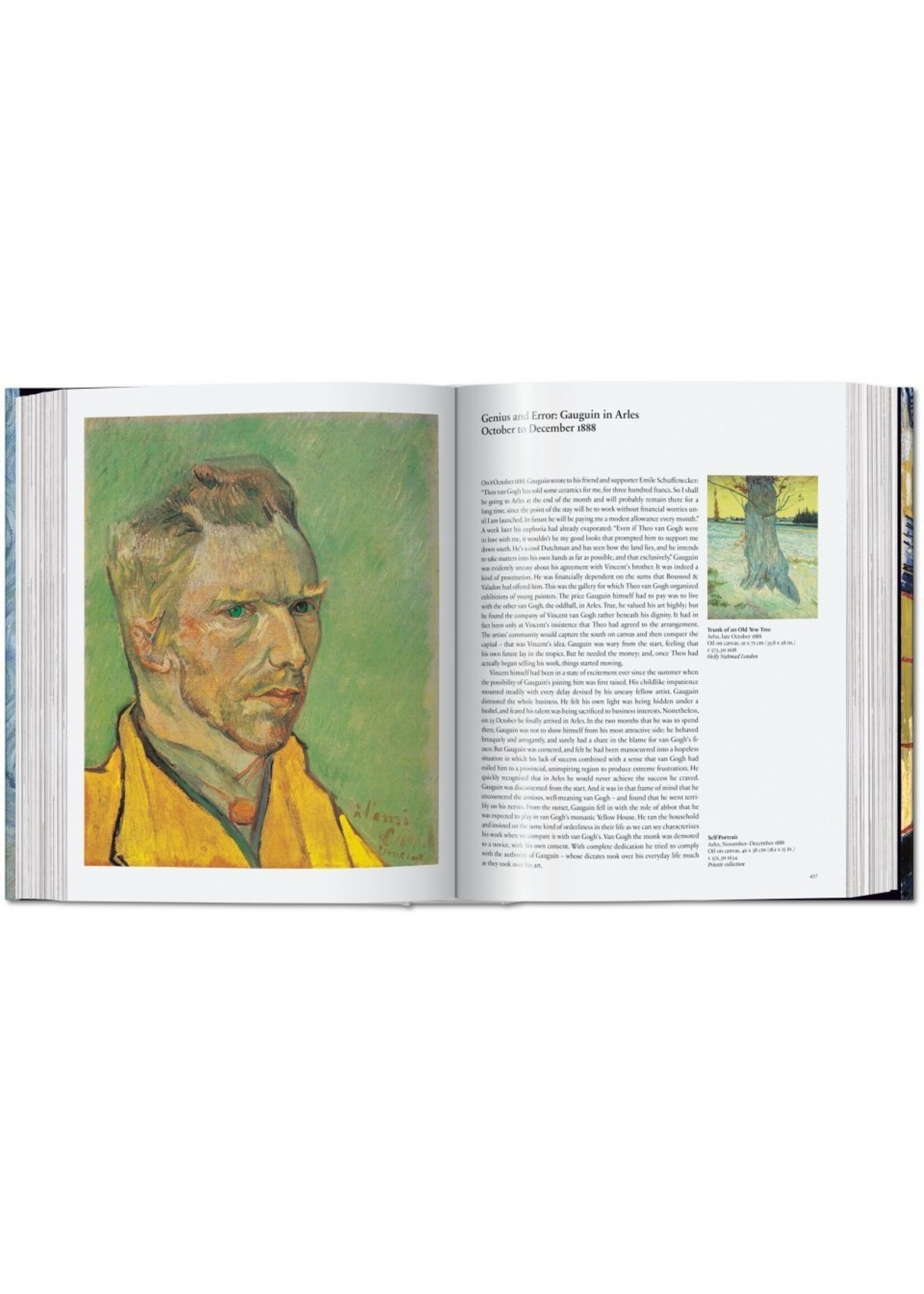 TASCHEN TASCHEN - van Gogh. The Complete Paintings