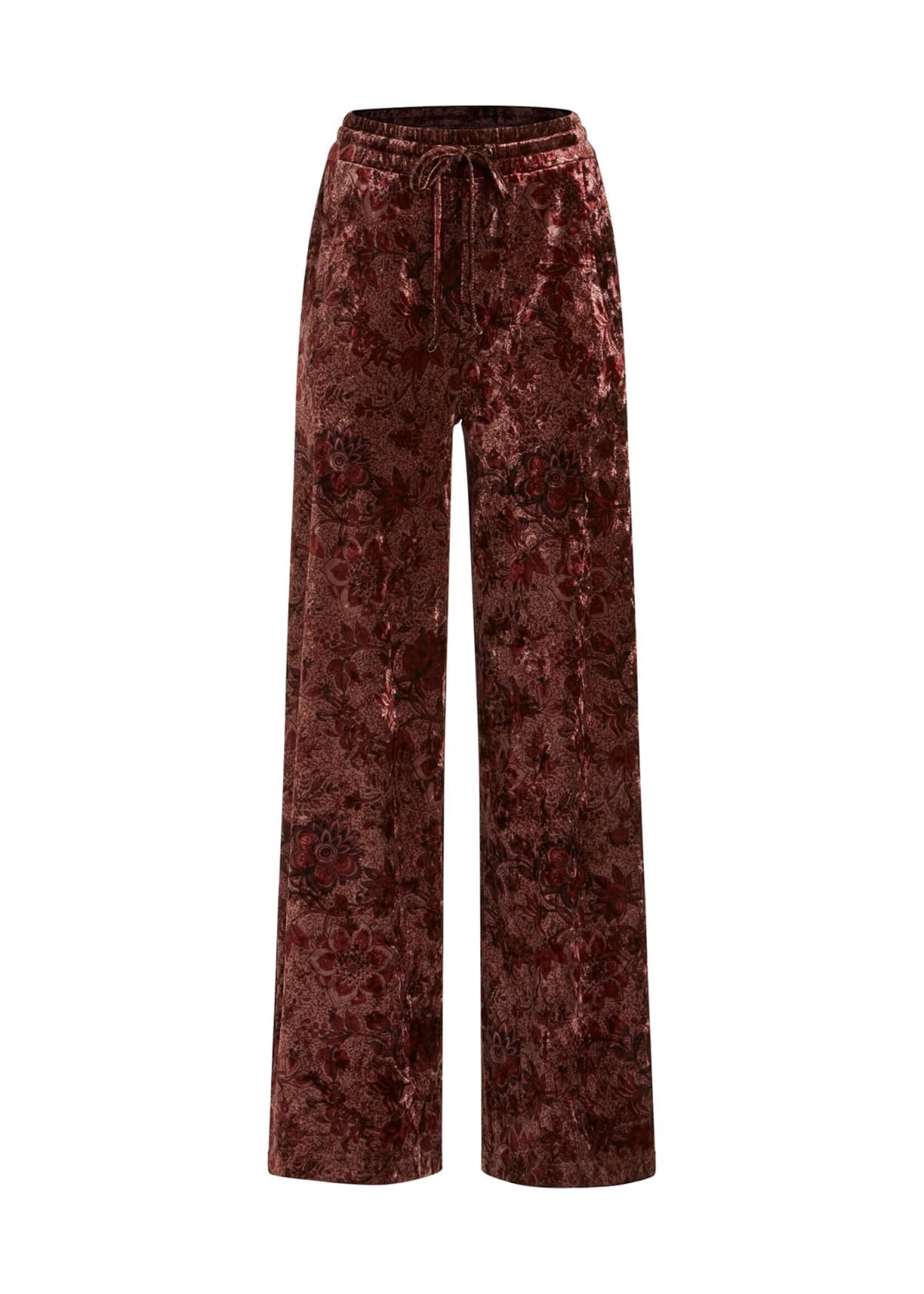 Guess Guess - Jade fluweel broek - Red/Floral