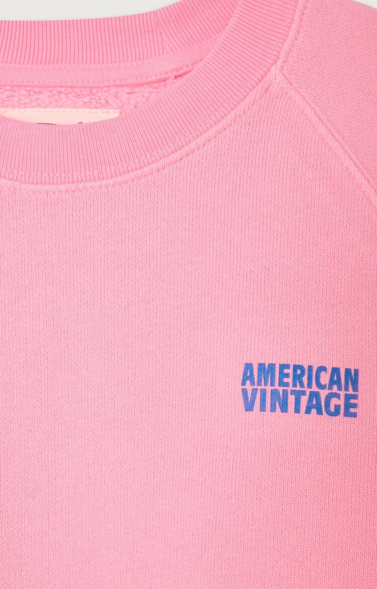 American Vintage IZUBIRD Sweater -  Barbe a Papa