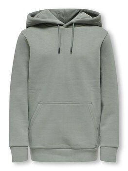 Only Only  - HOODIE SWT NOOS - Castor Gray