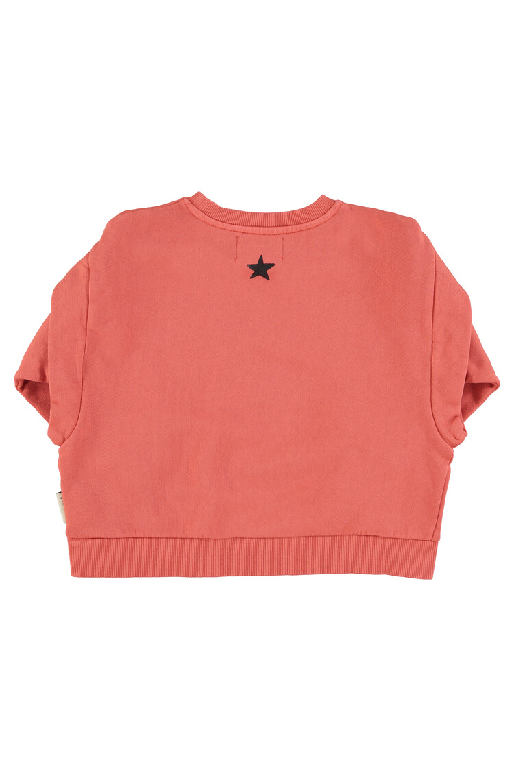 Piupiuchick Piupiuchick-Sweatshirt | Pink w/ "groupie"
