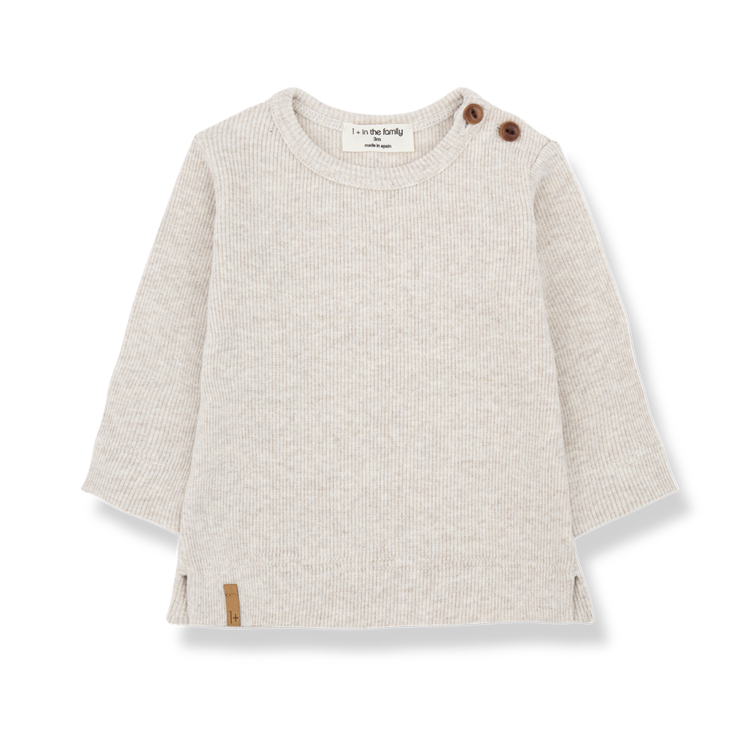 1+ in the family 1+ in the family - Alfons- Rice