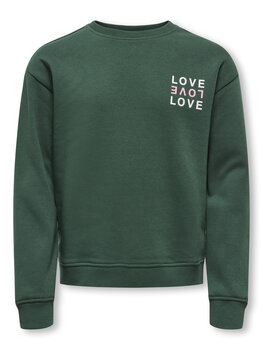 Only Only -KOGCAMINE L/S OVERSIZE - Groen