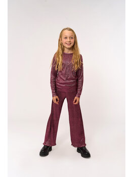 THE NEW The New -TNPrudence Wide Pleat Pants