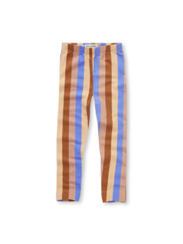 Sproet & Sprout Sproet&Sproet-LEGGING MULTI CLR STRIPE