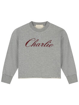 Charlie Petite Charlie Petite- Lux sweater grey label