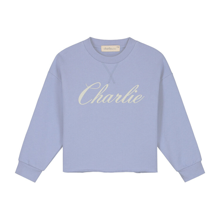 Charlie Petite Charlie Petite- Lux sweater lila
