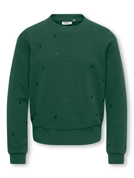 Only KOGATIKA L/S O-NECK EMB- Pine