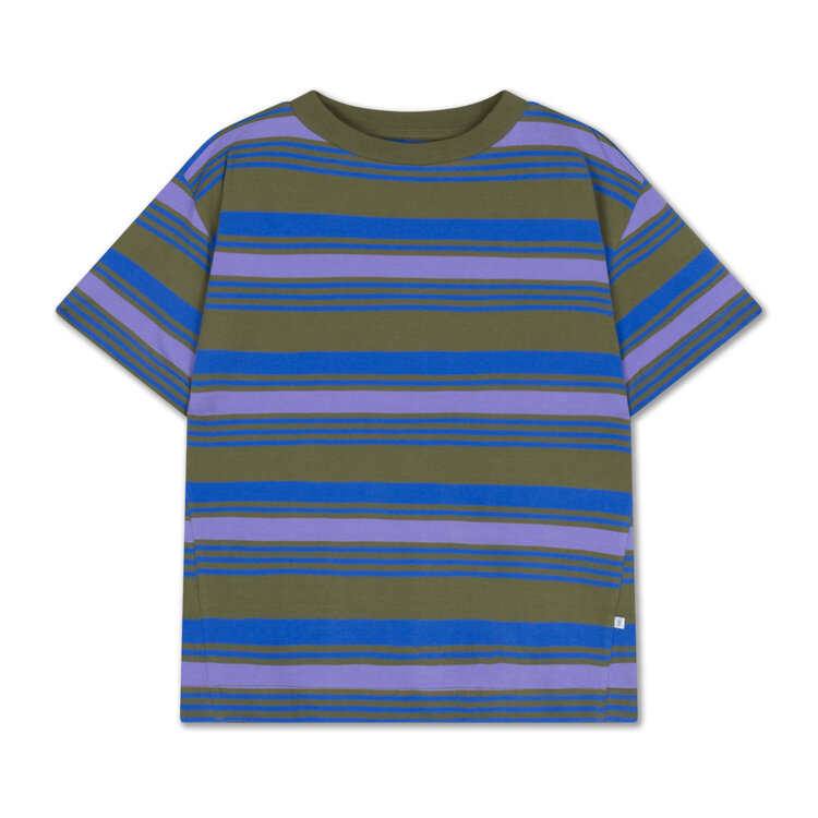 Repose AMS Tee shirt- Khaki Bloom Stripe