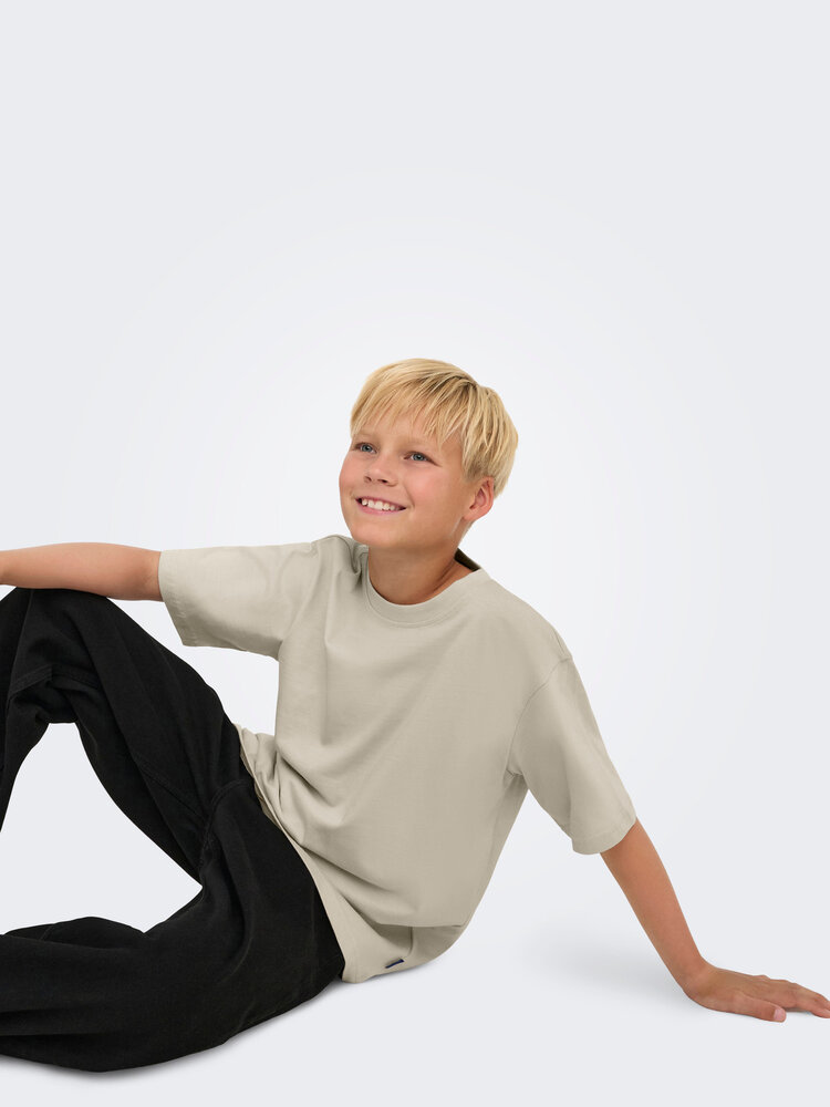 Only & Sons OSJFRED LIFE RLX SS TEE  - Silver Lining