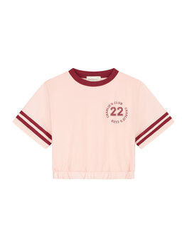 Charlie Petite Lianne T-Shirt - Pink Washed