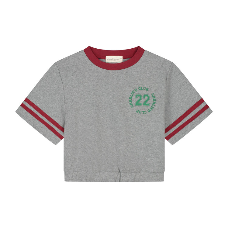 Charlie Petite Lianne T-Shirt -Grey Melange