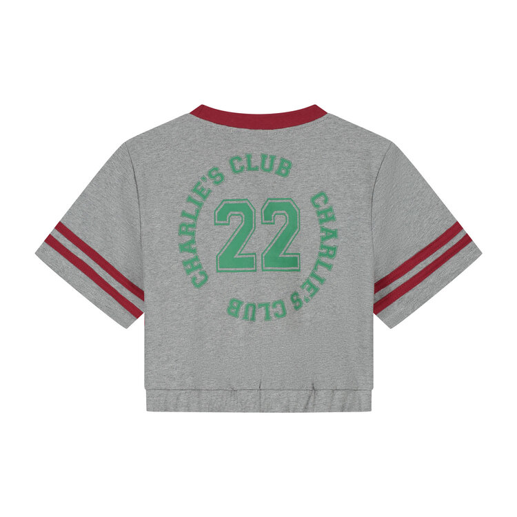 Charlie Petite Lianne T-Shirt -Grey Melange