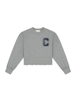Charlie Petite Lux Sweater - Grey Melange