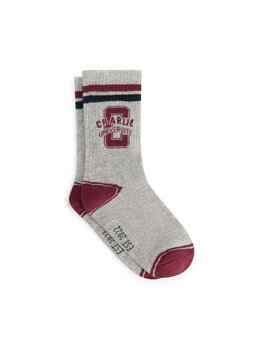 Charlie Petite Phebe Socks - Grey