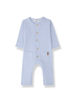 1+ in the family CAMBRILS - Ultramarine