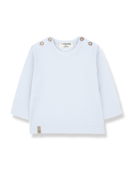 1+ in the family MICA - Misty Blue