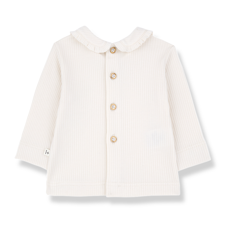 1+ in the family COLES - Ecru