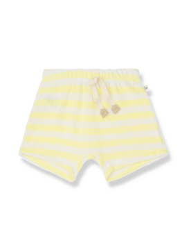 1+ in the family FERES - Pastel Yellow