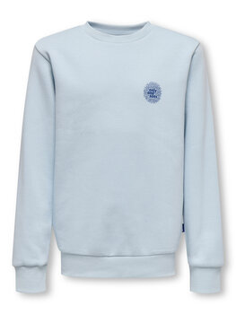 Only & Sons OSJCERES CELL REG LS  - Skyway CELL