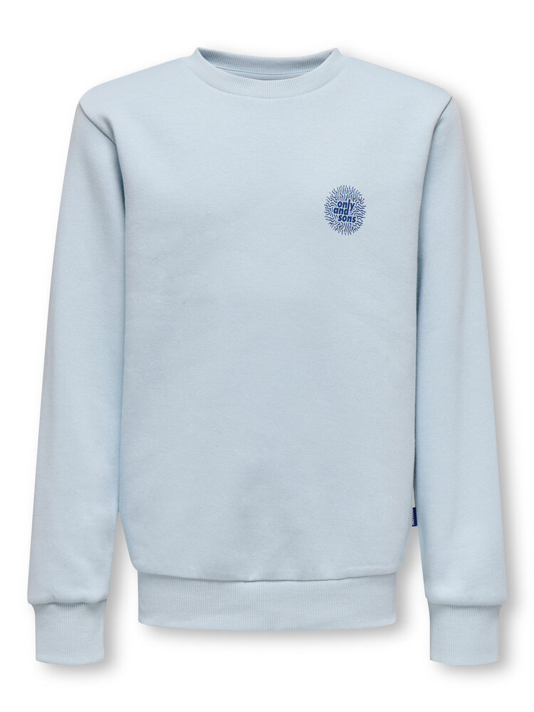 Only & Sons OSJCERES CELL REG LS  - Skyway CELL