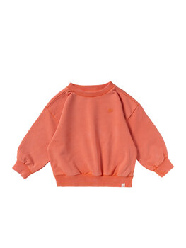 Your Wishes Garment Dye | Wide Sweater- Burnt Sienna