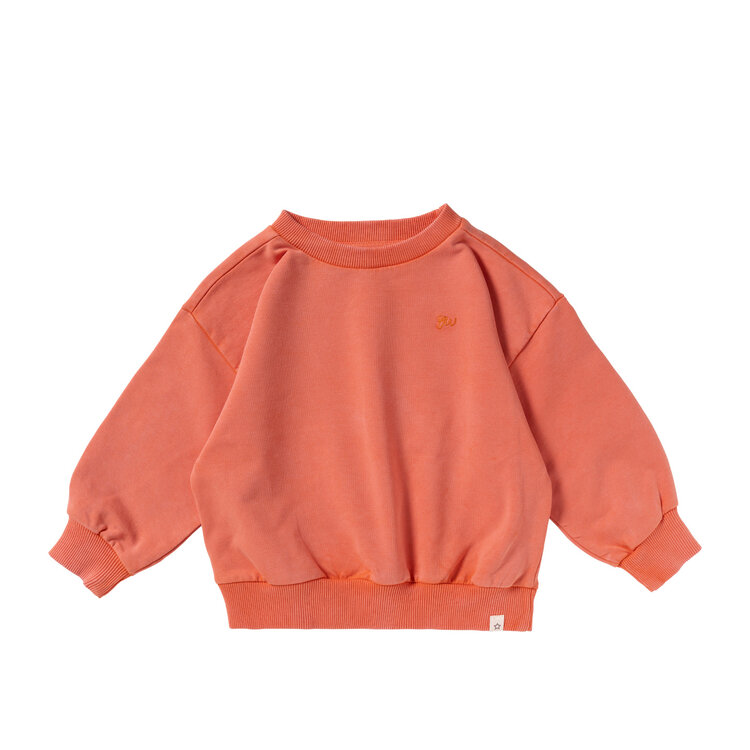 Your Wishes Garment Dye | Wide Sweater- Burnt Sienna