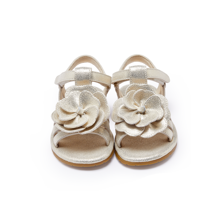 Donsje AMS Iles Fields Sandals | Shimmer