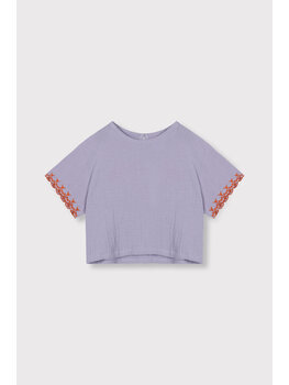 Alix mini embroidered sleeves  top