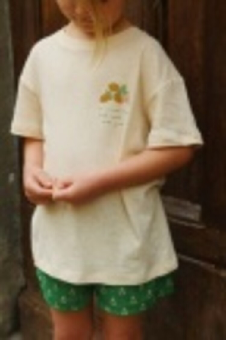 Konges Slojd ERA TEE