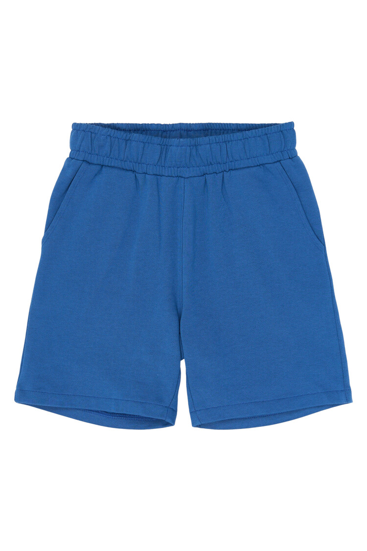 THE NEW TNRasmus Sweat Shorts