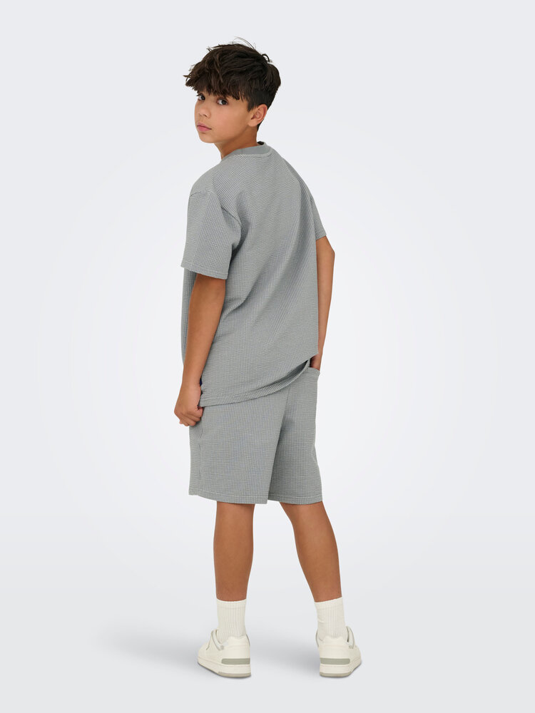 Only & Sons OSJKIAN LIFE RLX SS STRP TEE- Sedona Sage