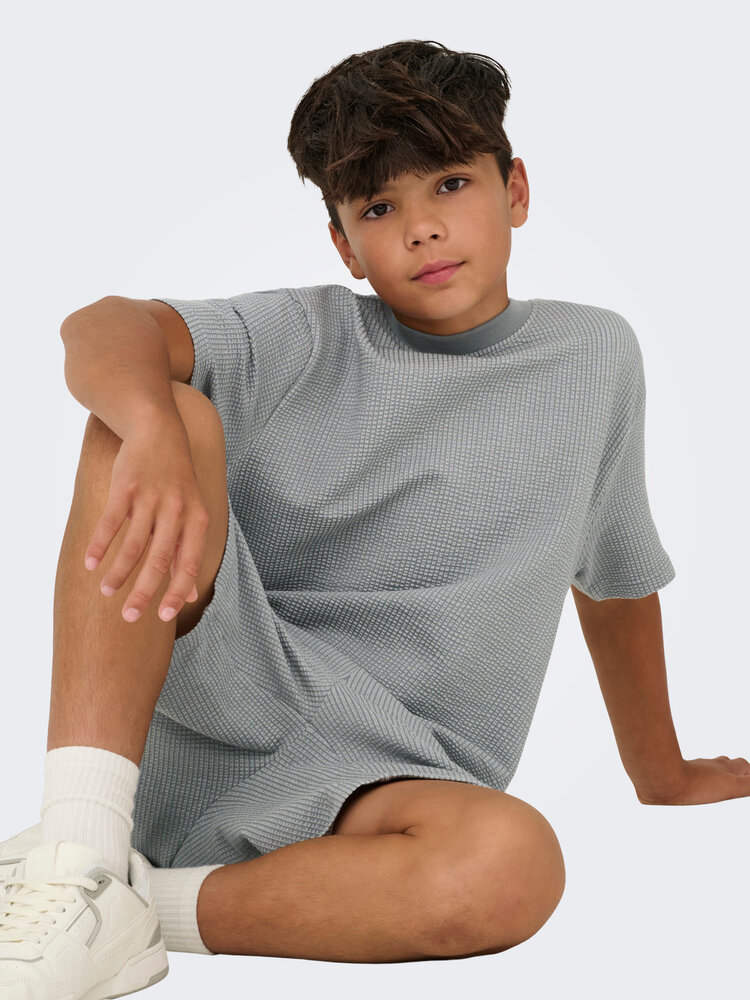 Only & Sons OSJKIAN LIFE RLX SS STRP TEE- Sedona Sage