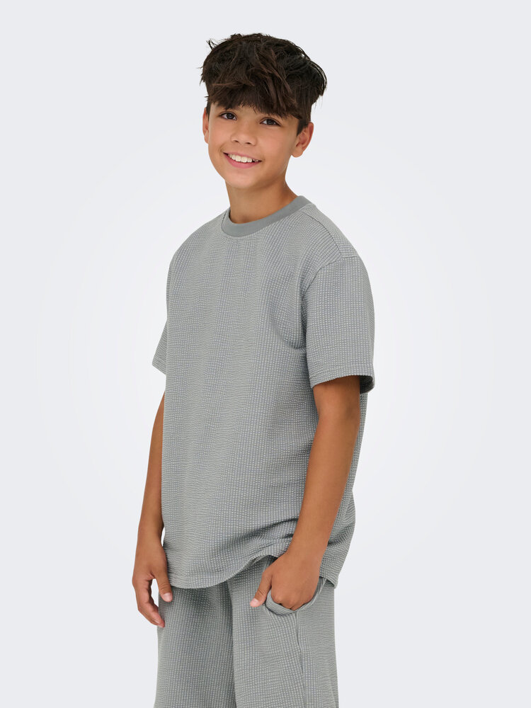 Only & Sons OSJKIAN LIFE RLX SS STRP TEE- Sedona Sage