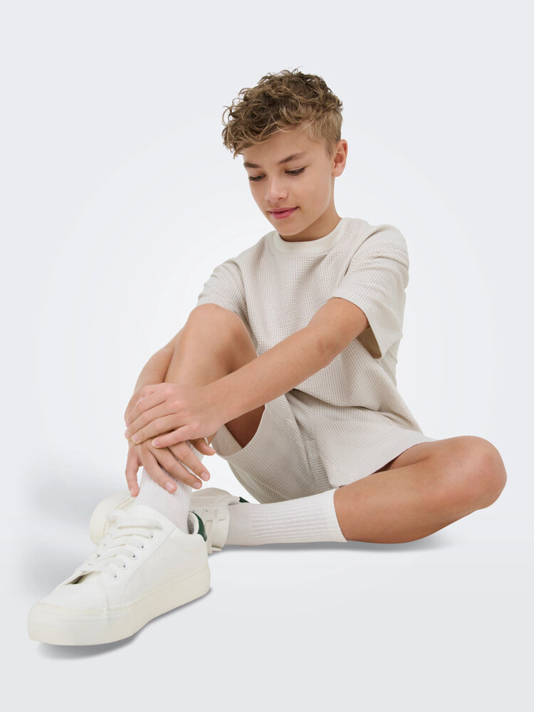 Only & Sons OSJKIAN LIFE RLX SS STRP TEE- Egret