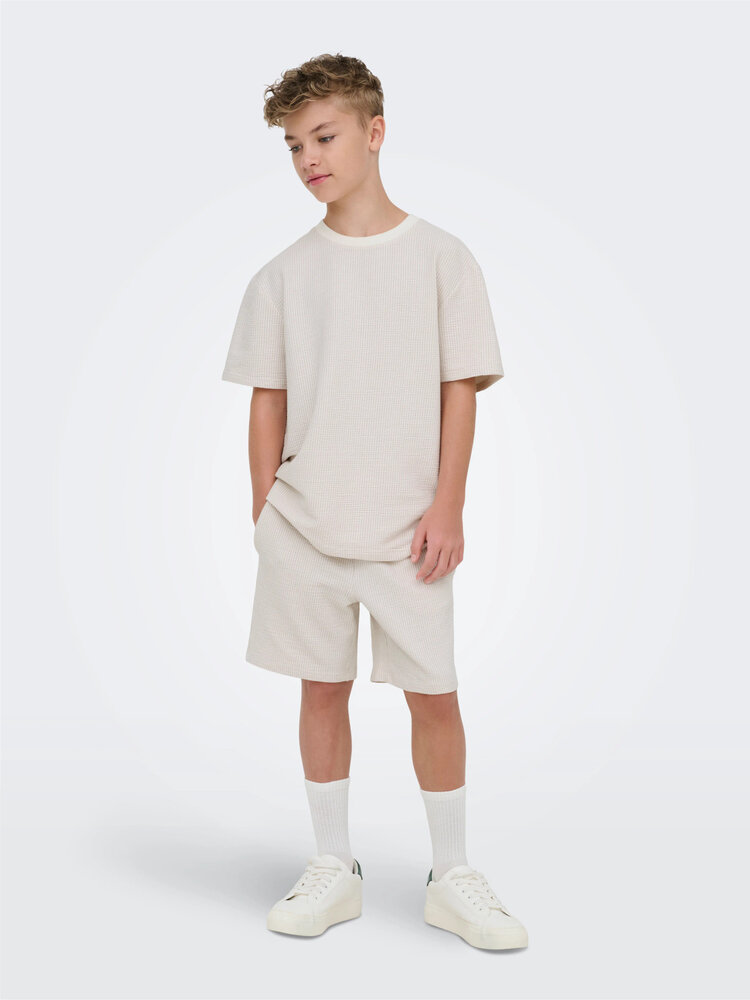 Only & Sons OSJKIAN LIFE RLX SS STRP TEE- Egret