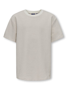 Only & Sons OSJKIAN LIFE RLX SS STRP TEE- Egret