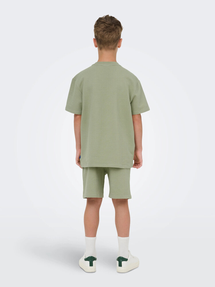 Only & Sons OSJKIAN LIFE RLX SS STRP TEE- Seagrass
